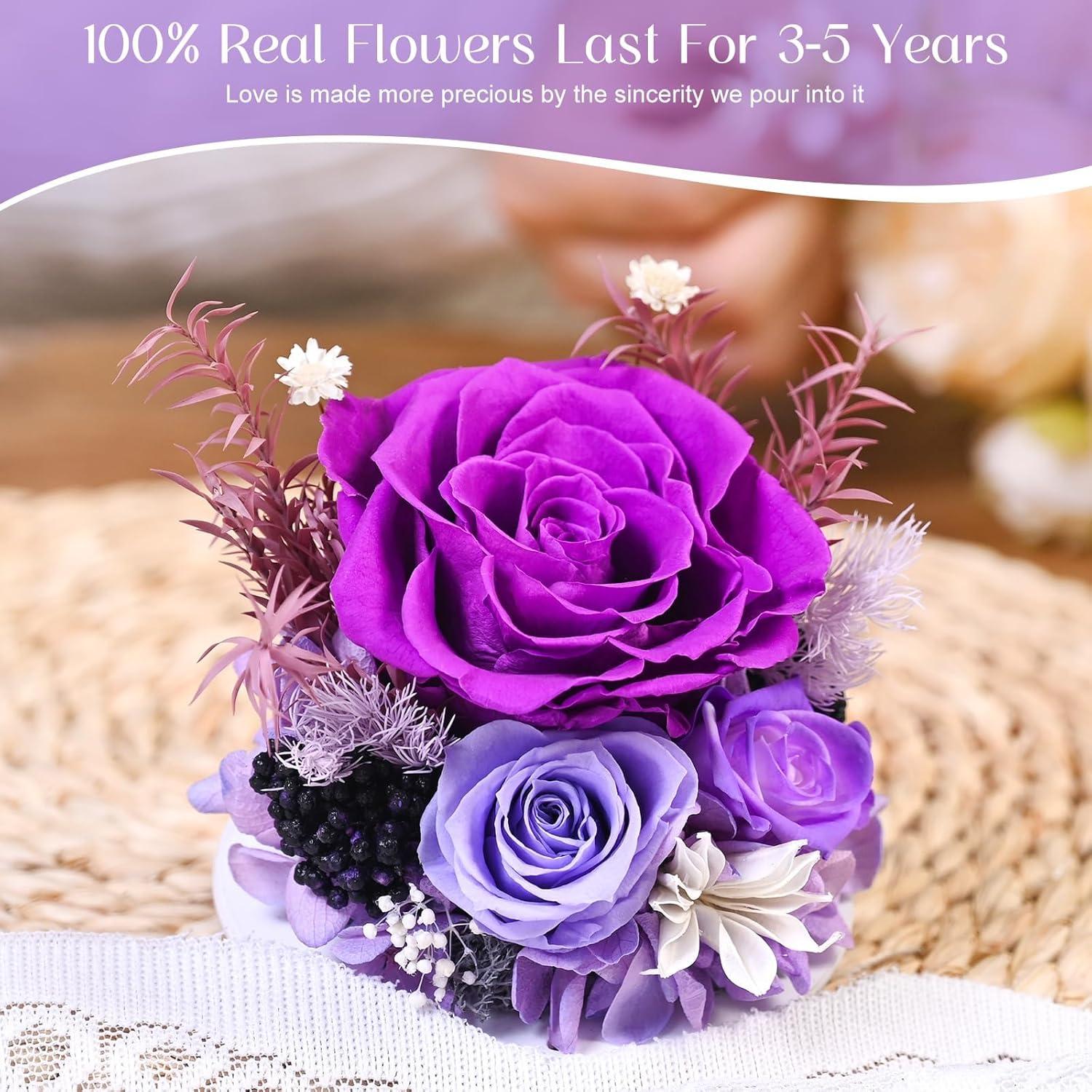 Flores Preservadas Levitación Magnética ASPMIZ Púrpura y Champagne