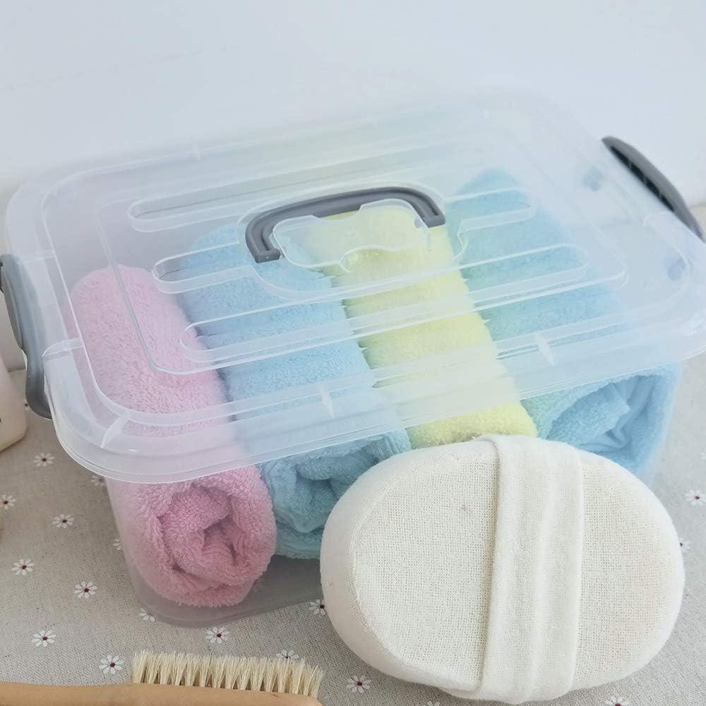 Kekow 2-Pack Caja de Almacenamiento Plástica 8L Transparente