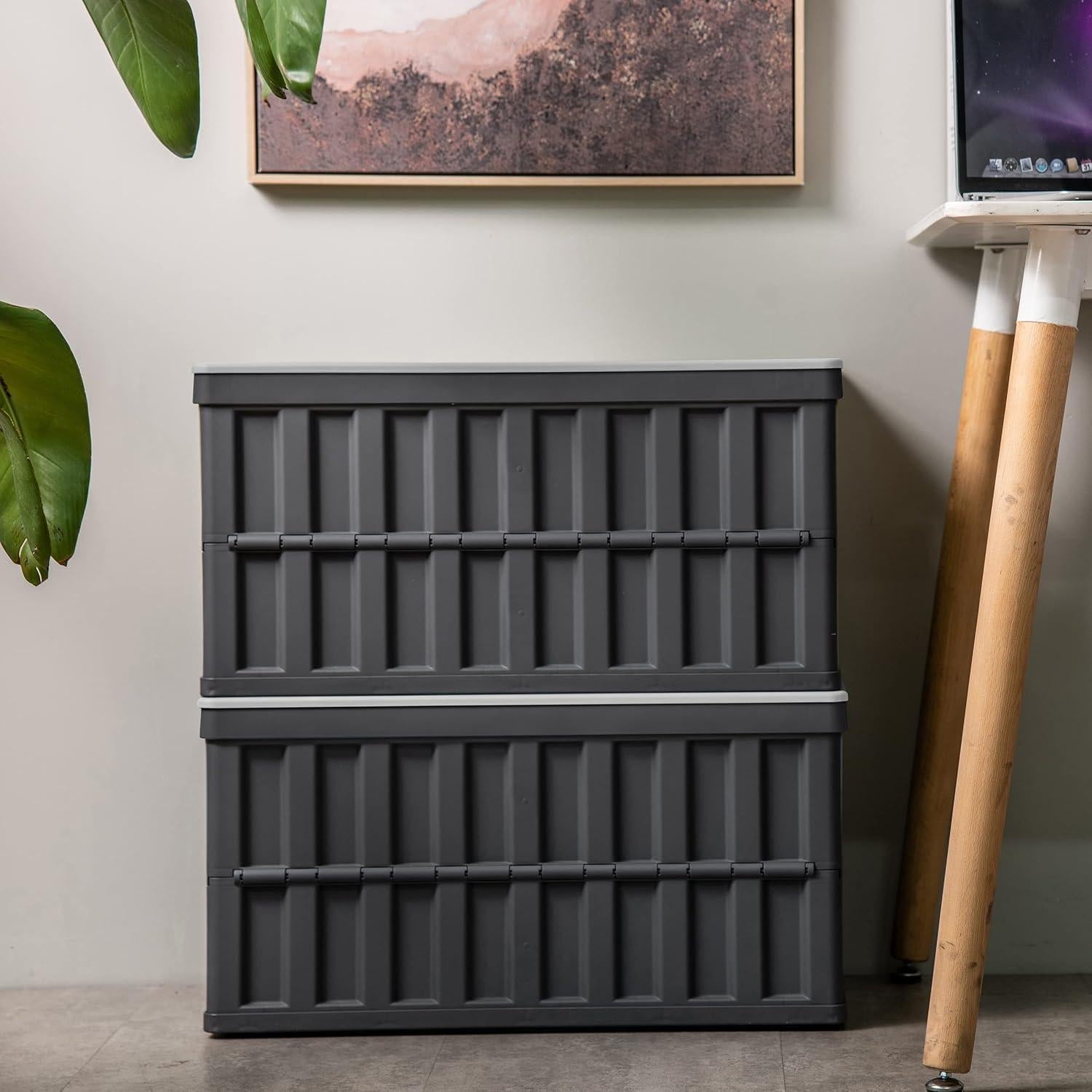 Contenedores de Almacenamiento Plegables Citylife 64L - 2 Paquetes