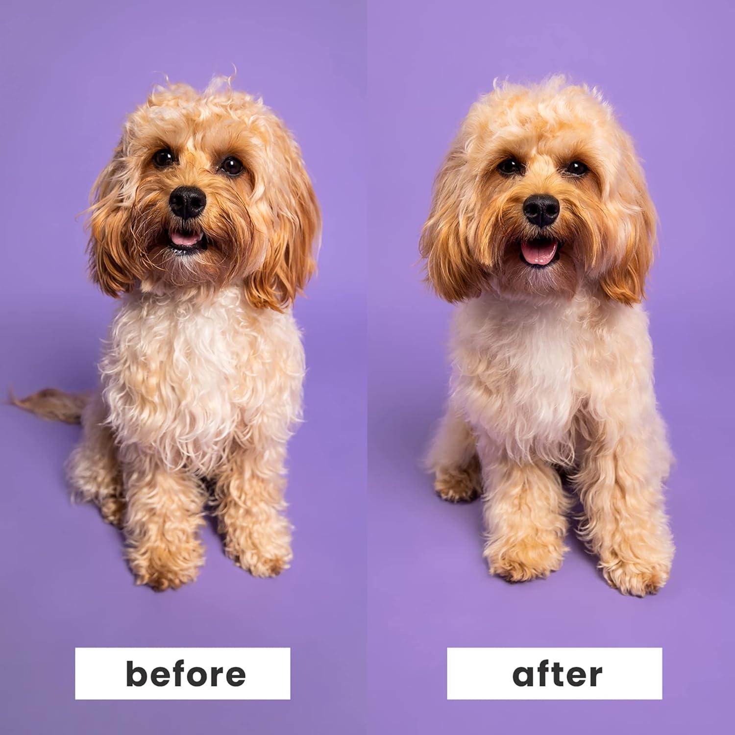 Pet Teezer Dúo Cepillo Desheddor y Desenredante para Perros