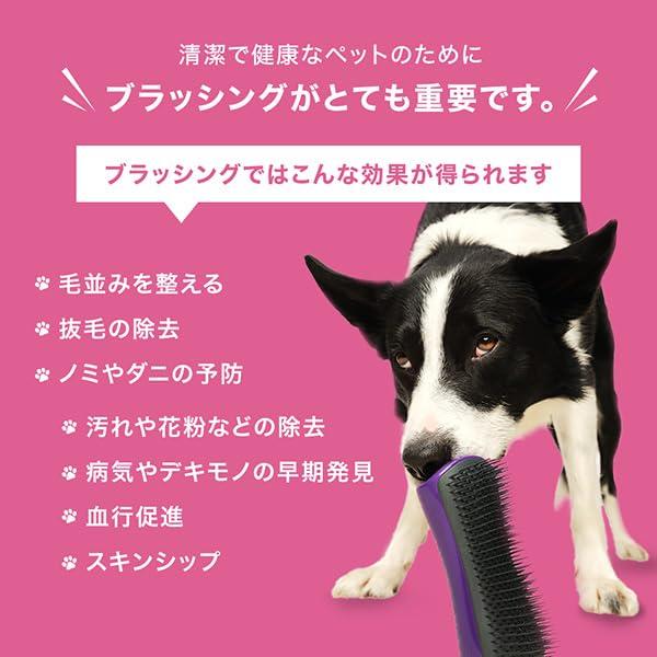 Cepillo para Mascotas TangleTeezer Pet Teezer Rosa 15.2 cm