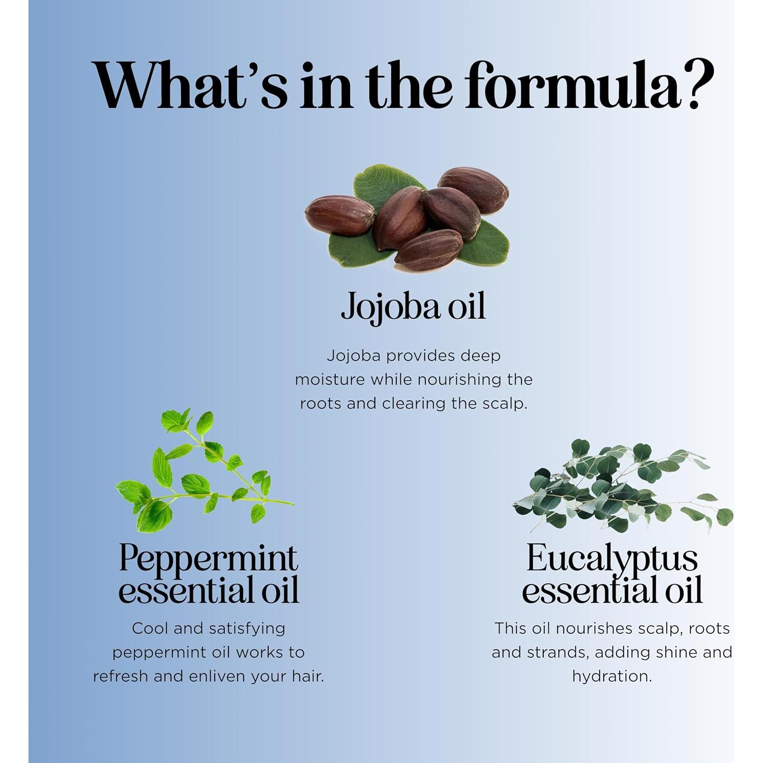 Champú Sin Sulfatos Maple Holistics 226g - Aclarador Profundo