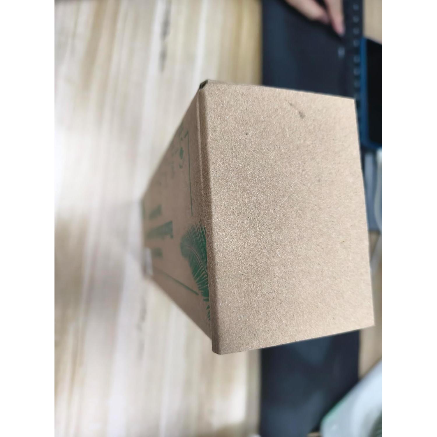 Cepillo de Espalda BTideas 52 cm Mango Largo Antideslizante