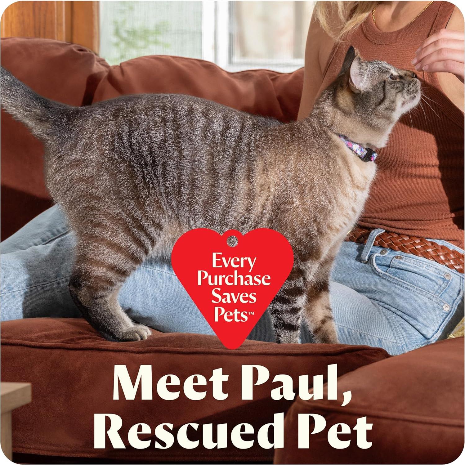 Limpiador Profundo Portátil Bissell Little Green Mini 0.47L