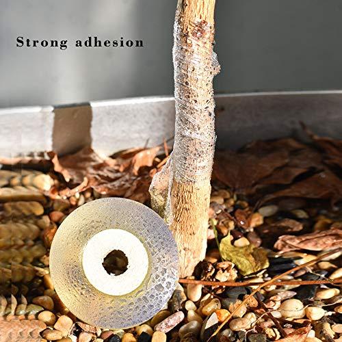 Cinta de Injerto Estirable 2 Pcs Pengxiaomei 3.05cm Verde Amarillo