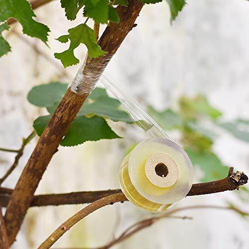 Cinta de Injerto Estirable 2 Pcs Pengxiaomei 3.05cm Verde Amarillo