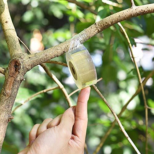 Cinta de Injerto Estirable 2 Pcs Pengxiaomei 3.05cm Verde Amarillo