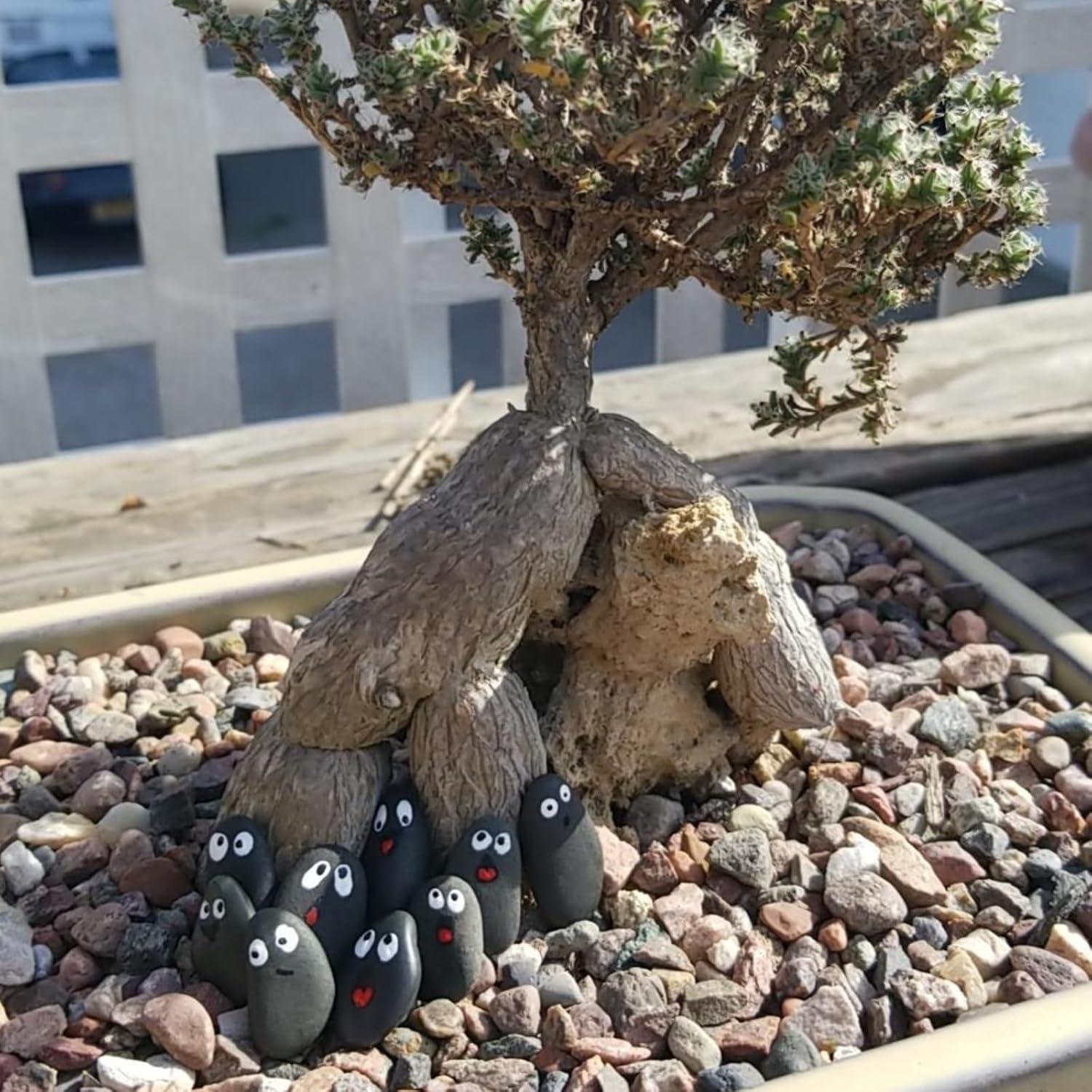 Piedras de Río Pequeñas Lifetop 0.45 kg para Jardín y Acuario