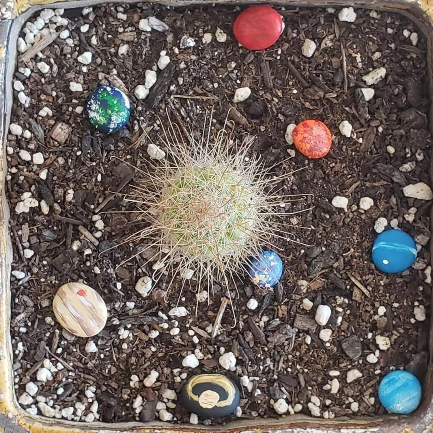 Piedras de Río Pequeñas Lifetop 0.45 kg para Jardín y Acuario