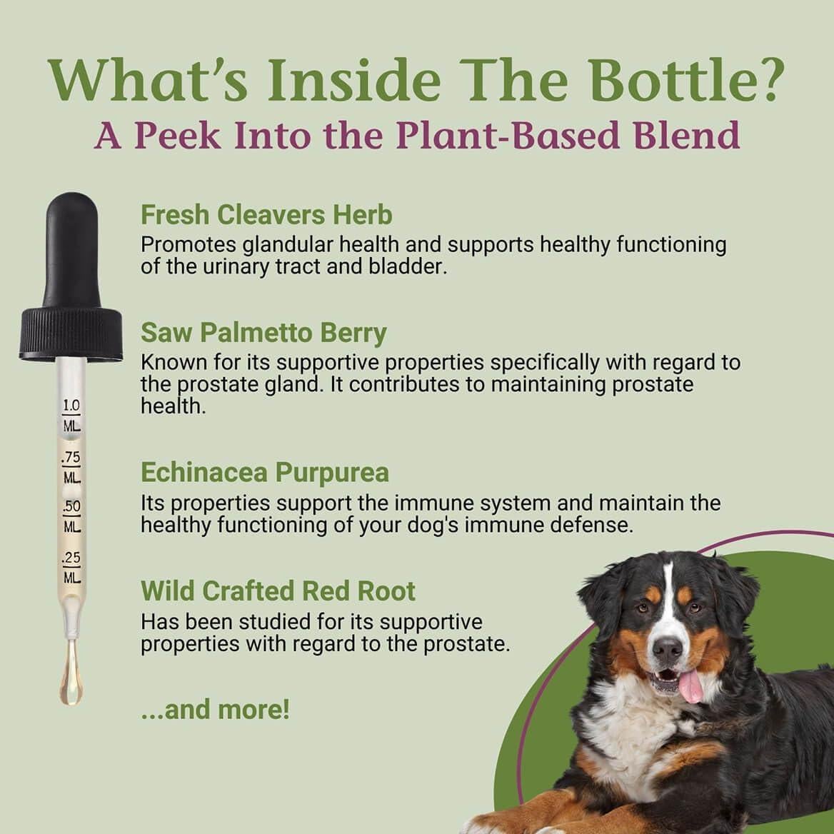 Gotas ProsPet PetAlive para Salud de Próstata y Vejiga 59 ml