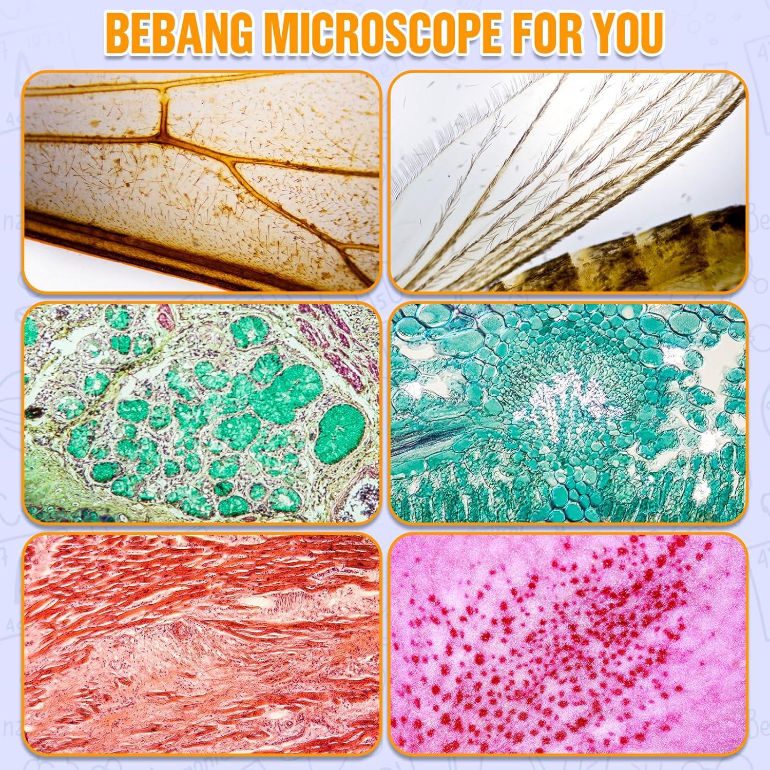 Microscopio de bolsillo BEBANG 135x con luz LED y 5 portaobjetos