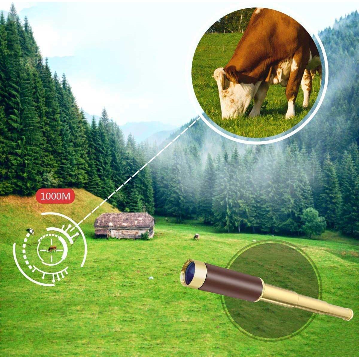 Telescopio Monocular Pirata Aubric 25x30 Plegable Impermeable