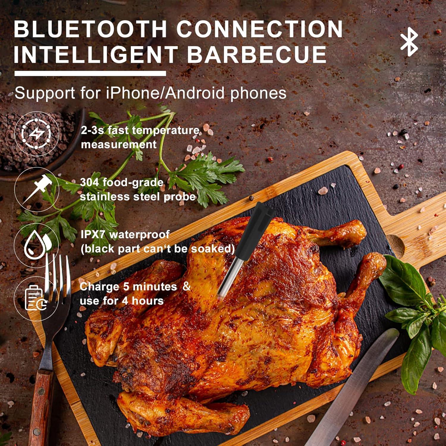 Termómetro de Carne Inalámbrico Bluetooth YONZHENG 60m Recargable