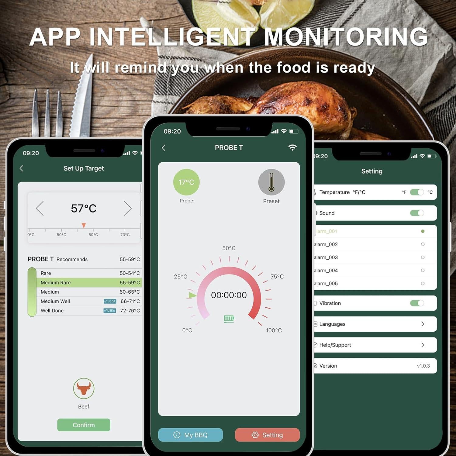 Termómetro de Carne Inalámbrico Bluetooth YONZHENG 60m Recargable
