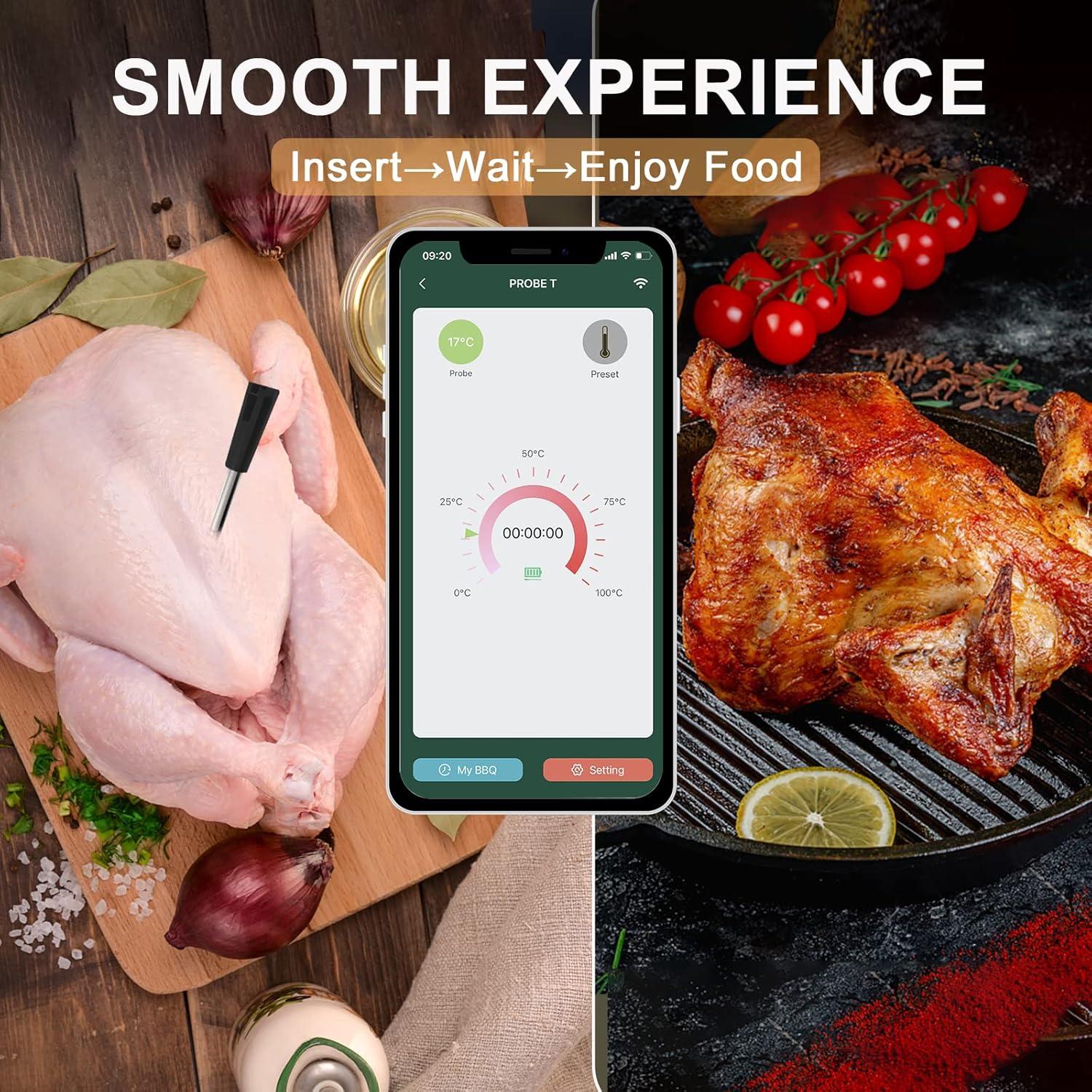 Termómetro de Carne Inalámbrico Bluetooth YONZHENG 60m Recargable