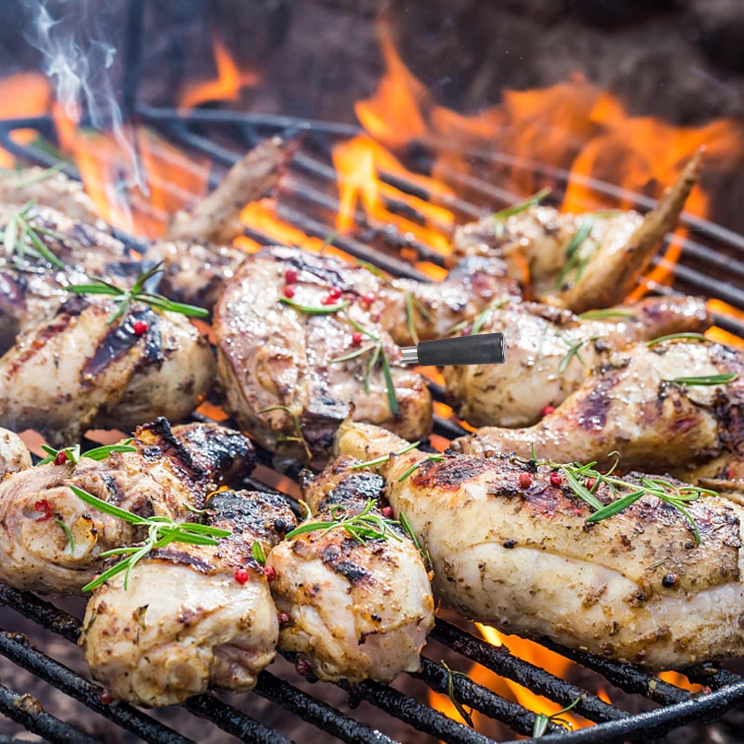 Termómetro de Carne Inalámbrico WEITASI CXL001 Bluetooth IP67