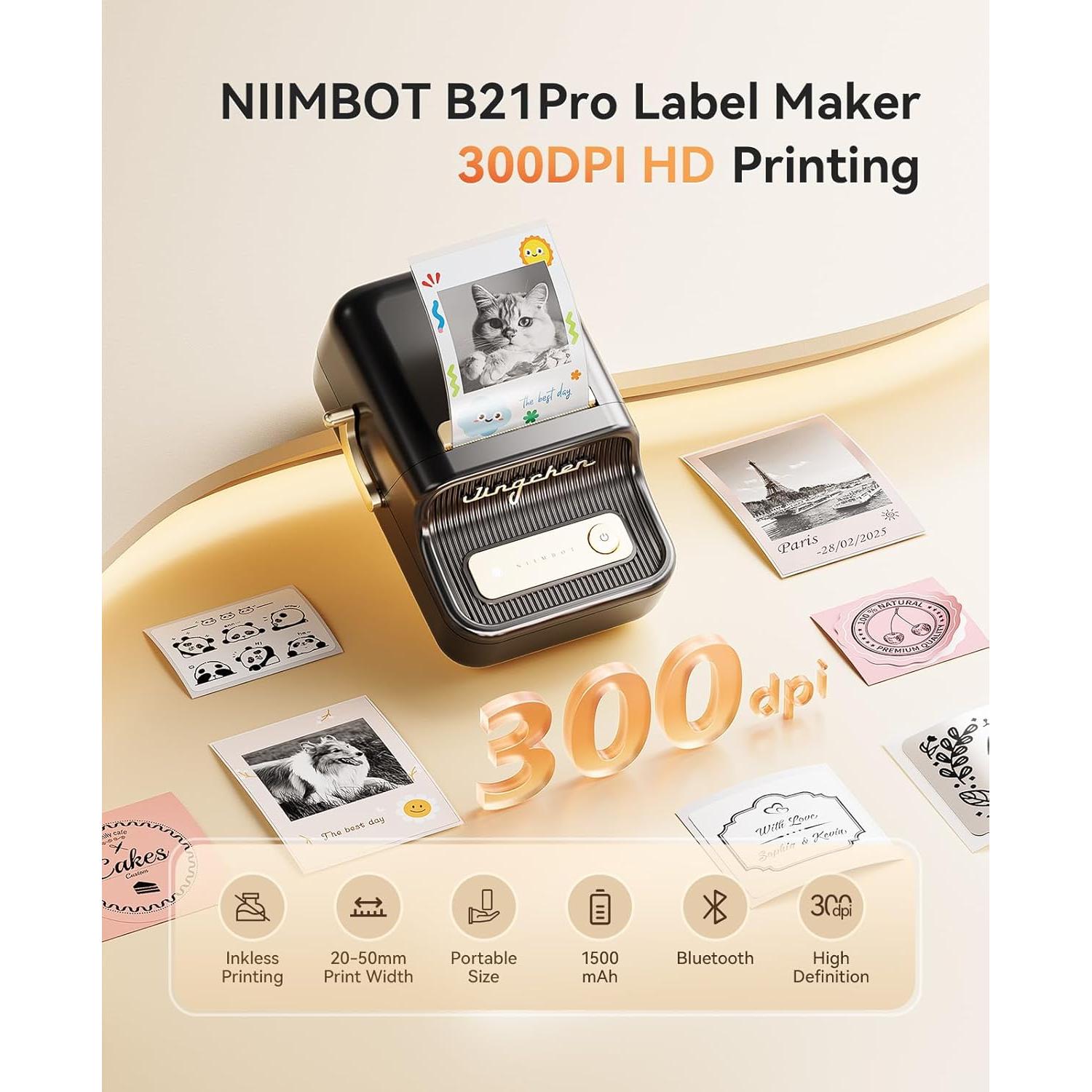 Impresora de Etiquetas NIIMBOT B21 Pro 300DPI Portátil Negra