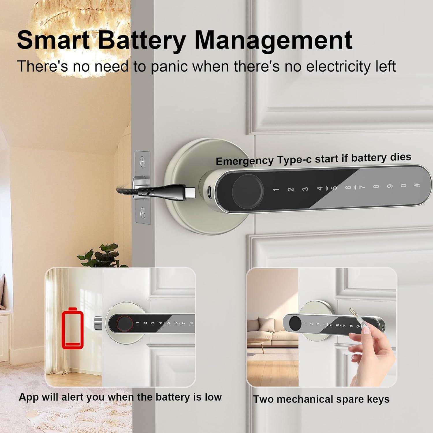 Cerradura Biométrica HEIXOS Z02 Oro Champán con APP