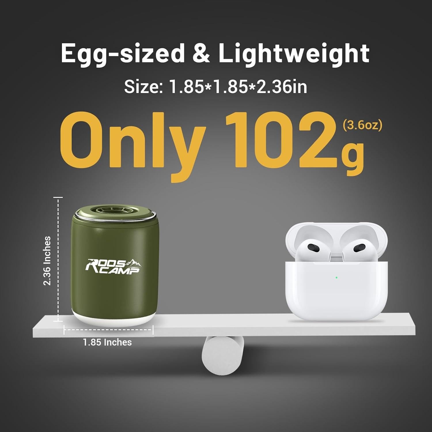 Bomba de Aire Portátil Eléctrica RoosCamp NP2X1600 4.5KPa