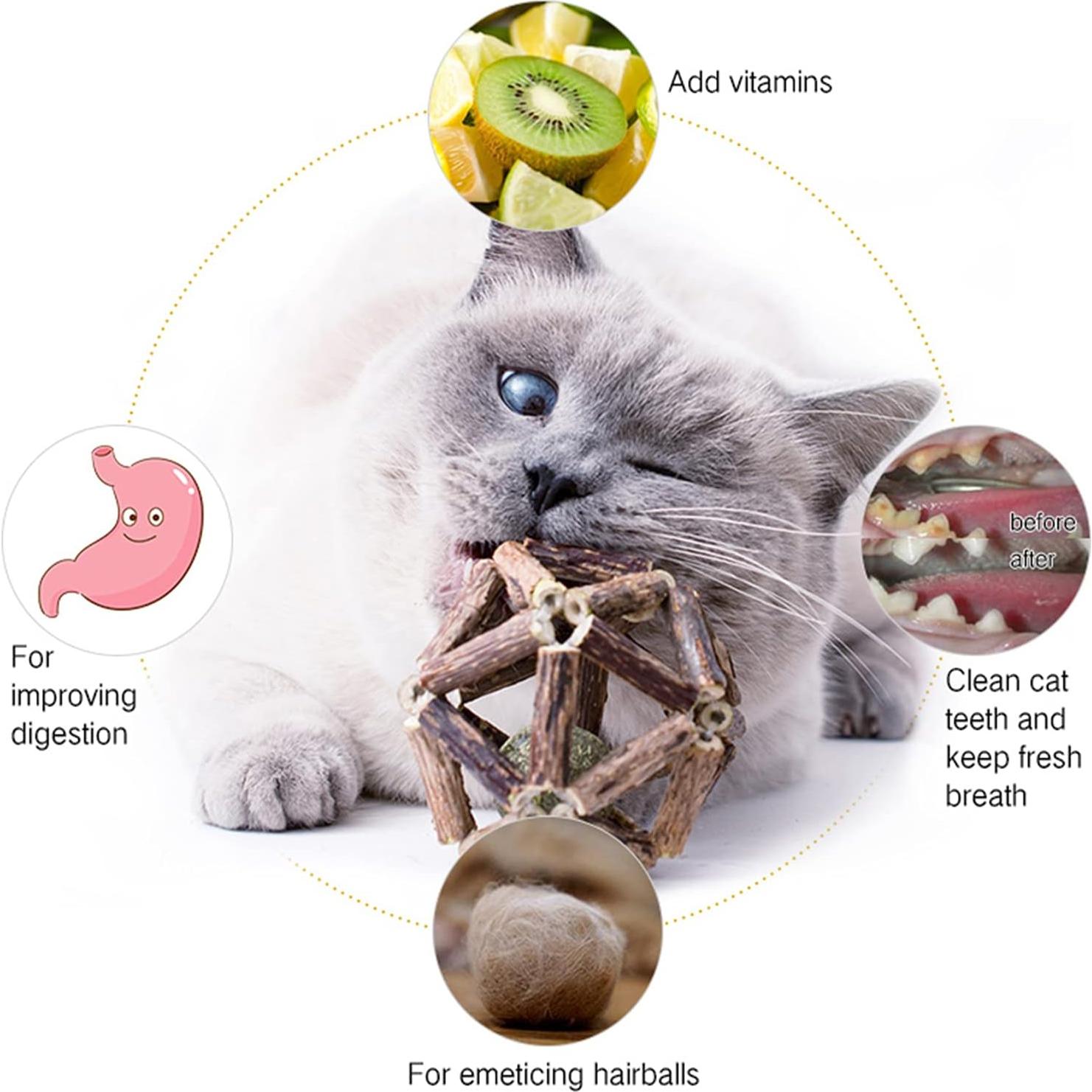 Juguetes para Gatos Gochanmon 2Pcs Catnip y Silvervine