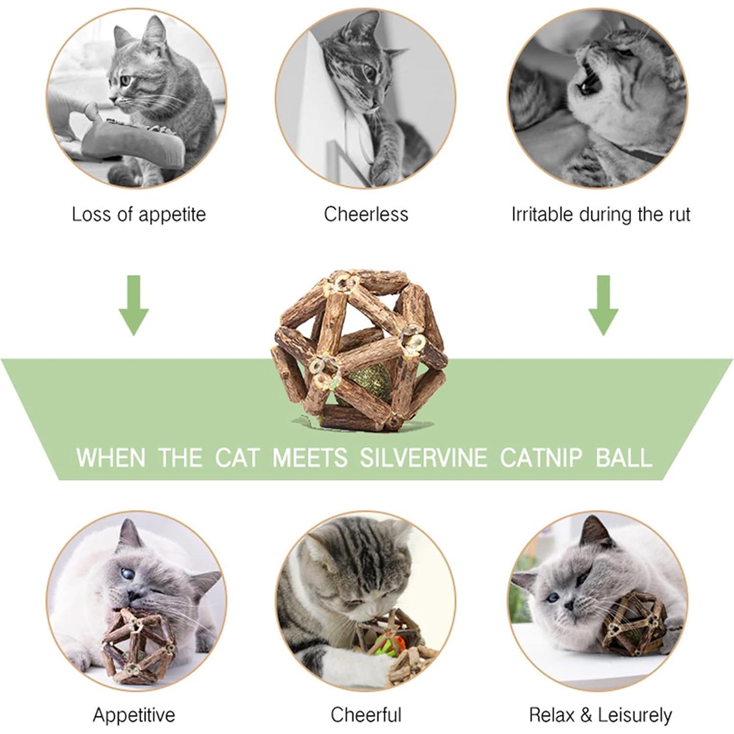 Juguetes para Gatos Gochanmon 2Pcs Catnip y Silvervine