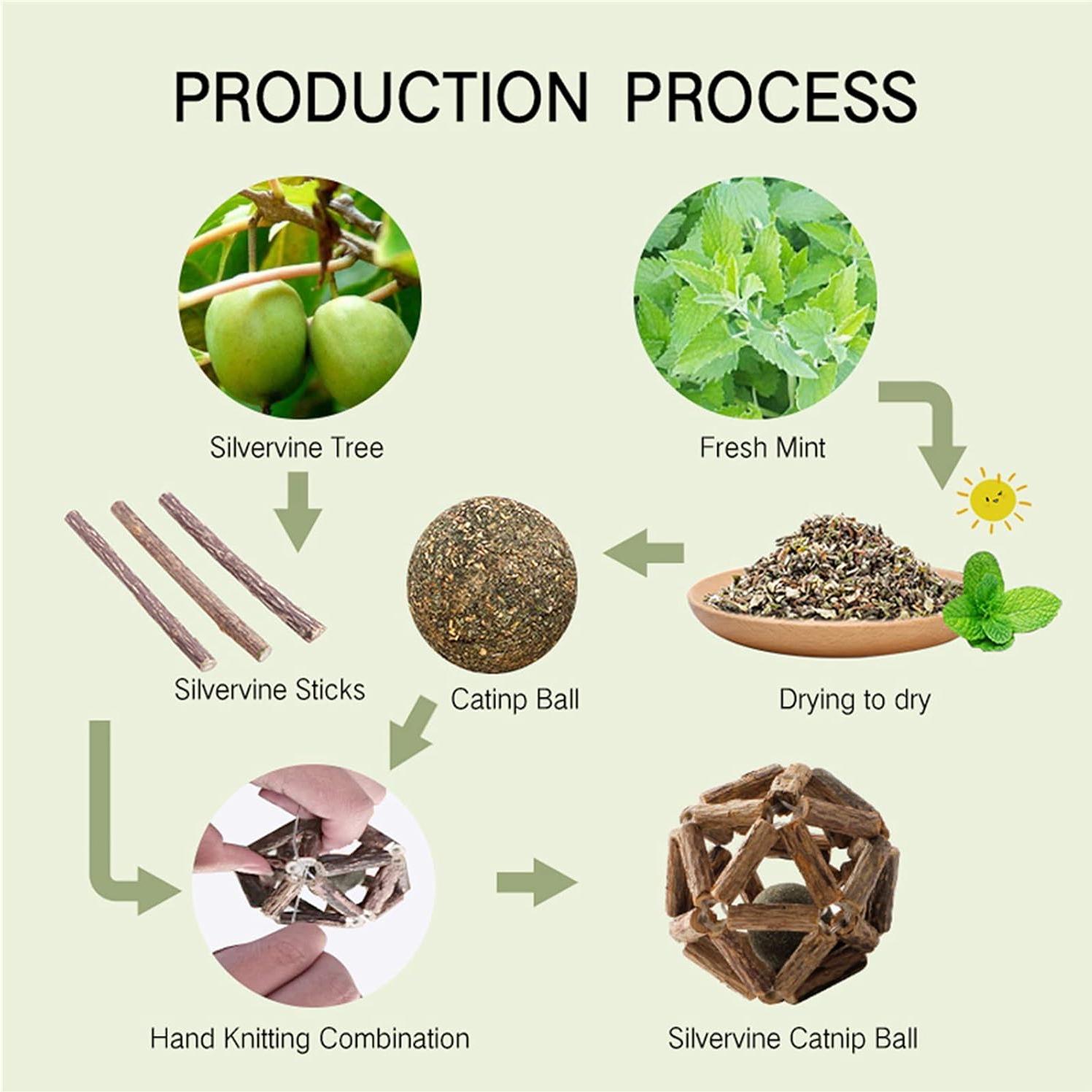 Juguetes para Gatos Gochanmon 2Pcs Catnip y Silvervine