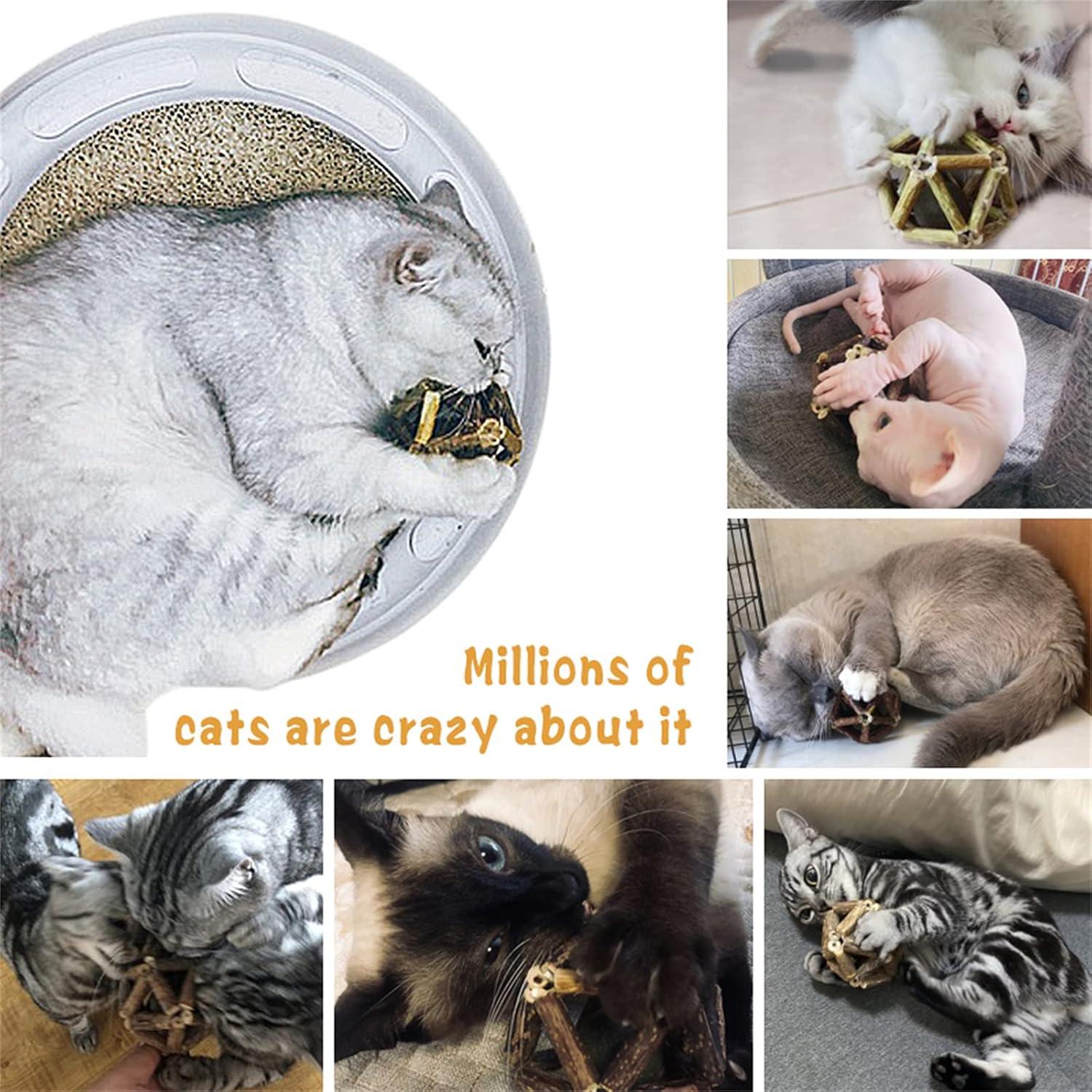 Juguetes para Gatos Gochanmon 2Pcs Catnip y Silvervine