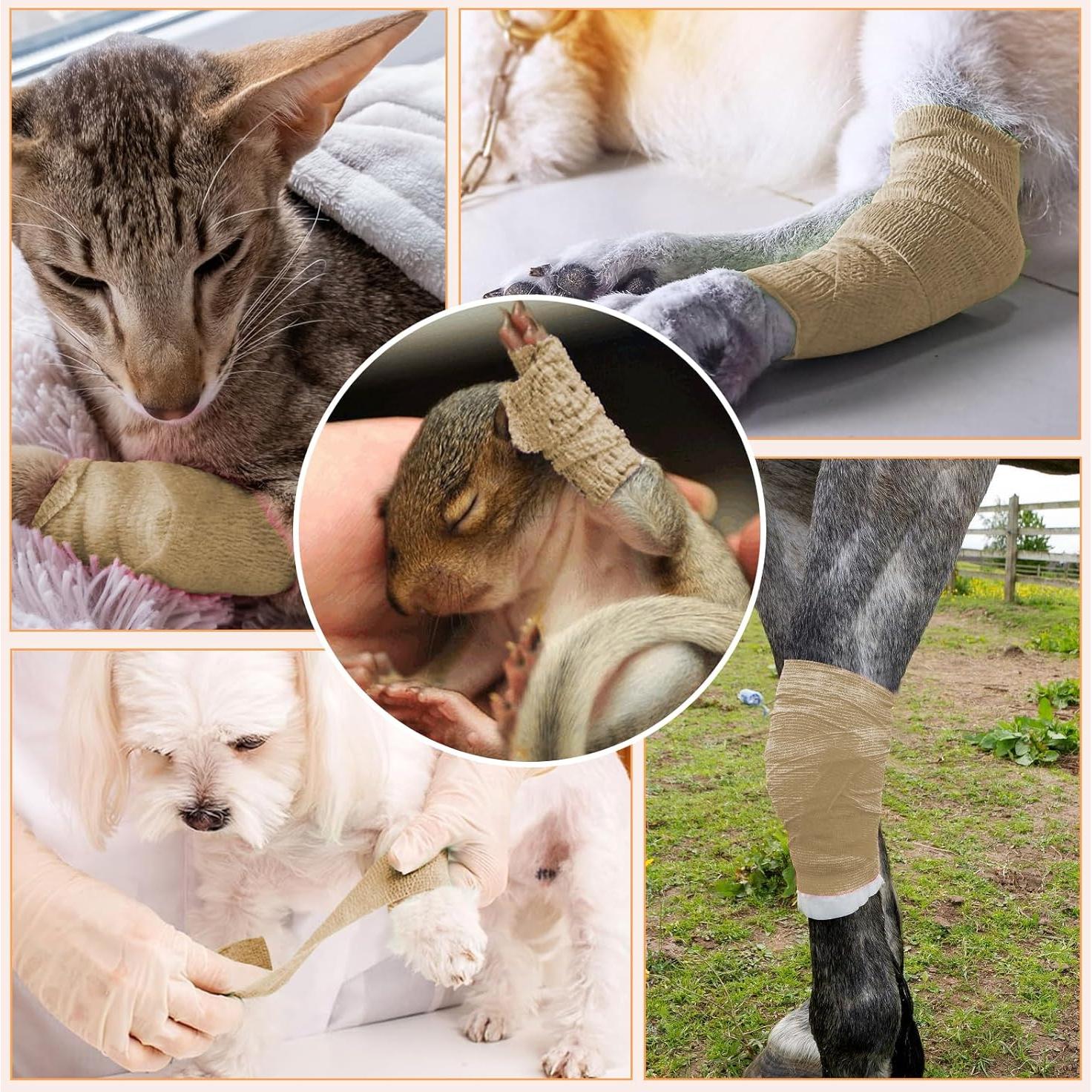 Venda Autoadhesiva BIRDDIE 18 Piezas Color Piel 3 Anchos