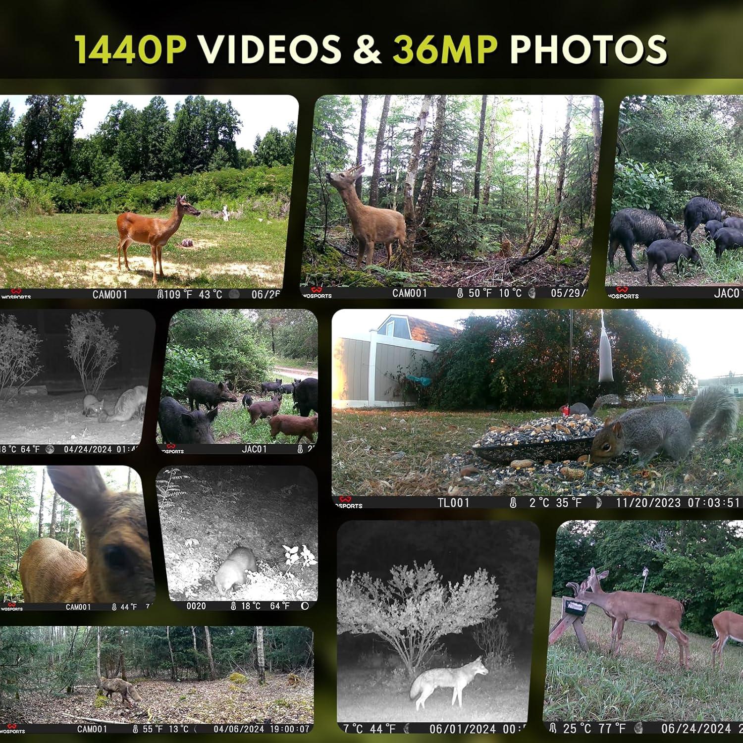 Cámara de sendero WOSPORTS H37 36MP 1440P visión nocturna