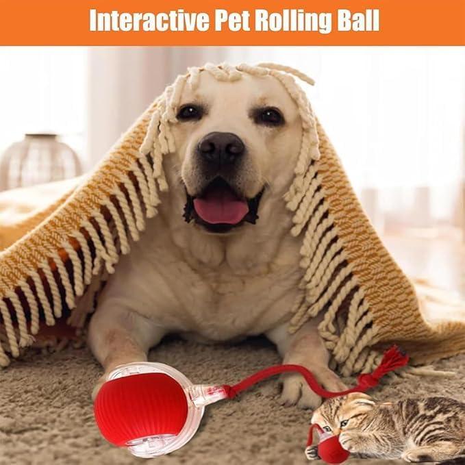 Pelota Eléctrica Interactiva para Perros y Gatos - AUTRETY