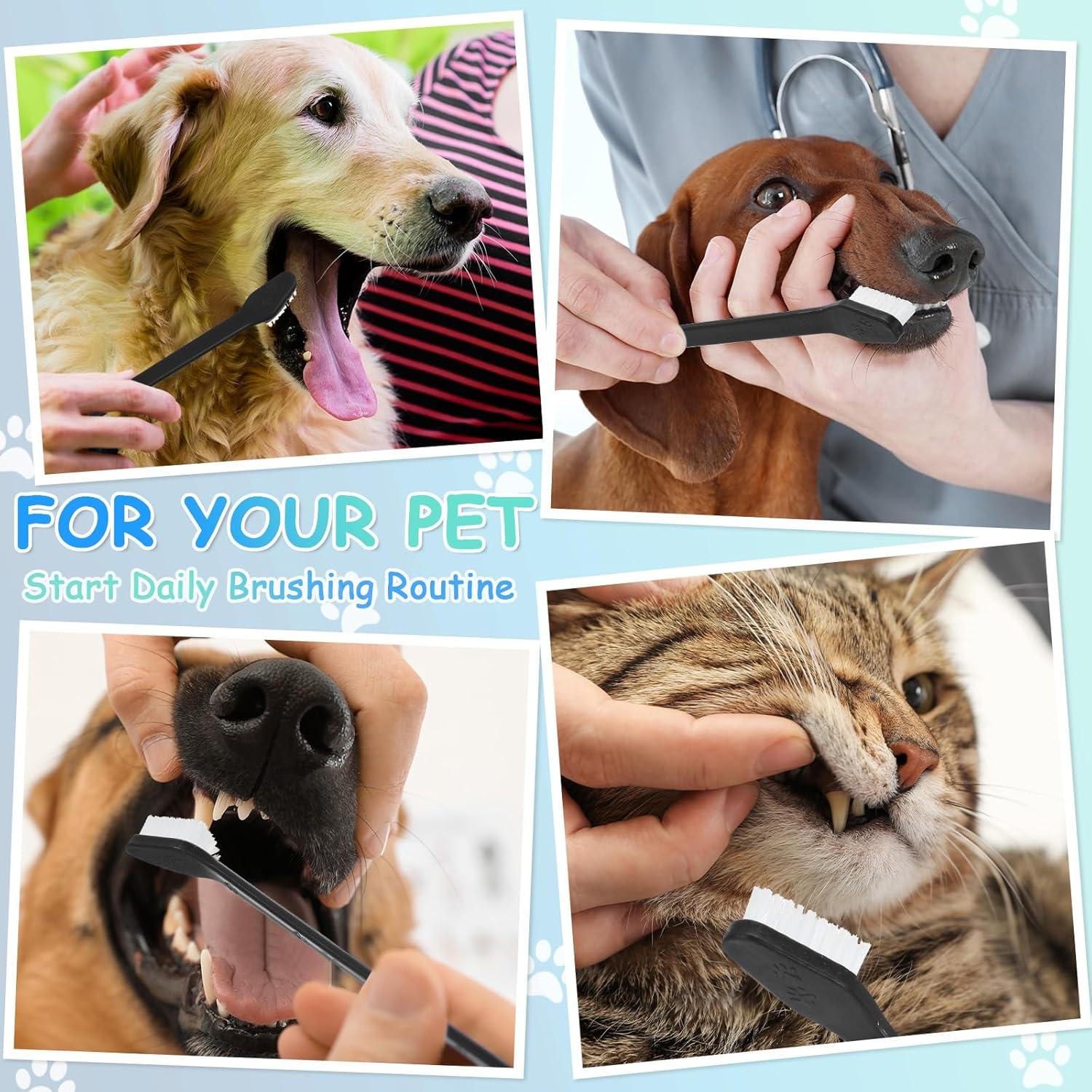 Cepillo de Dientes para Perros Honeydak - 70 Piezas Doble Cara