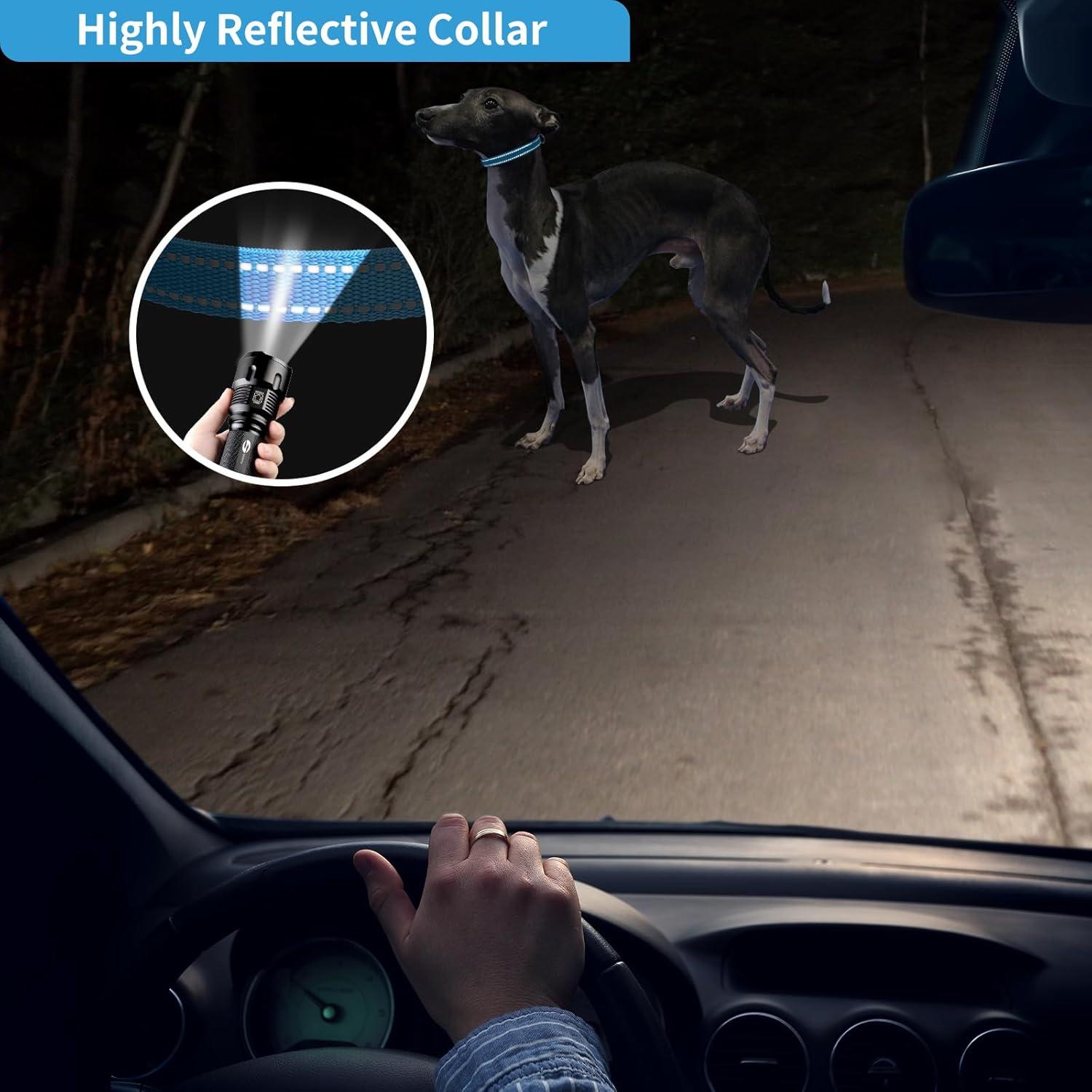 Correa de Reemplazo PaiPaitek para Collares de Entrenamiento - Reflectante y Duradera