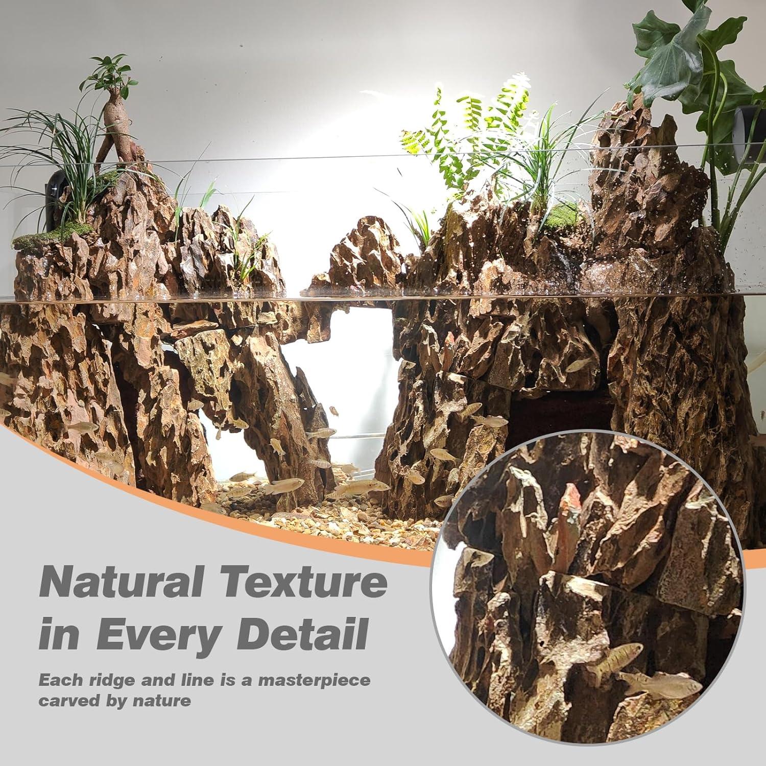 Piedra Dragón Seiryu 2.27kg para Acuarios y Terrarios