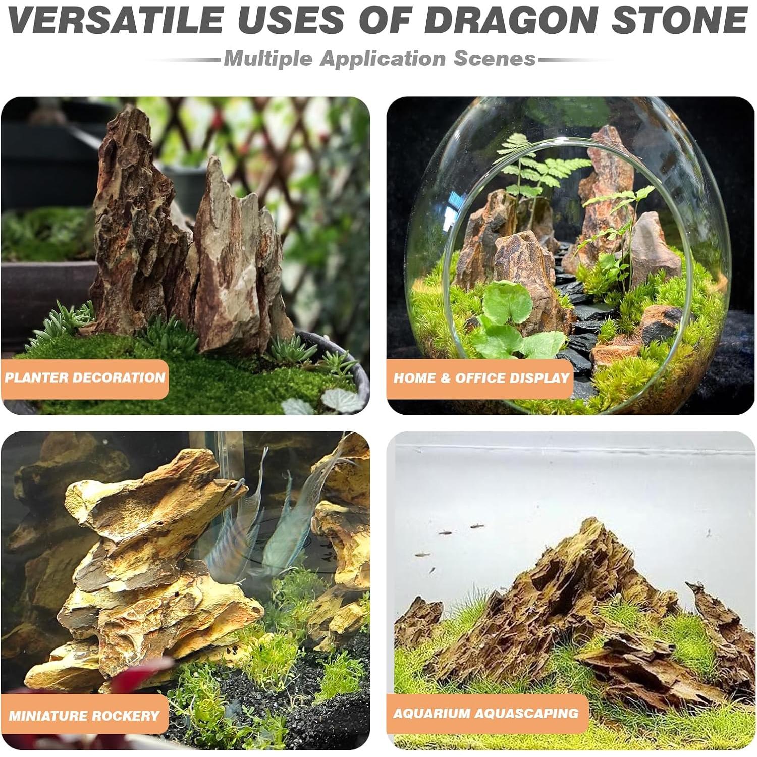 Piedra Dragón Seiryu 2.27kg para Acuarios y Terrarios