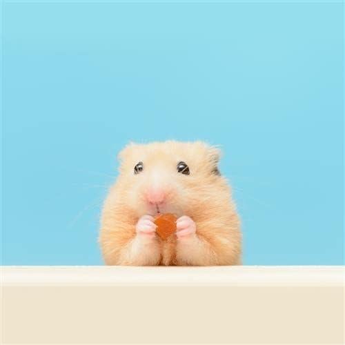 Galletas Naturales Mixtas Exotic Nutrition 127g - Frutas Secas