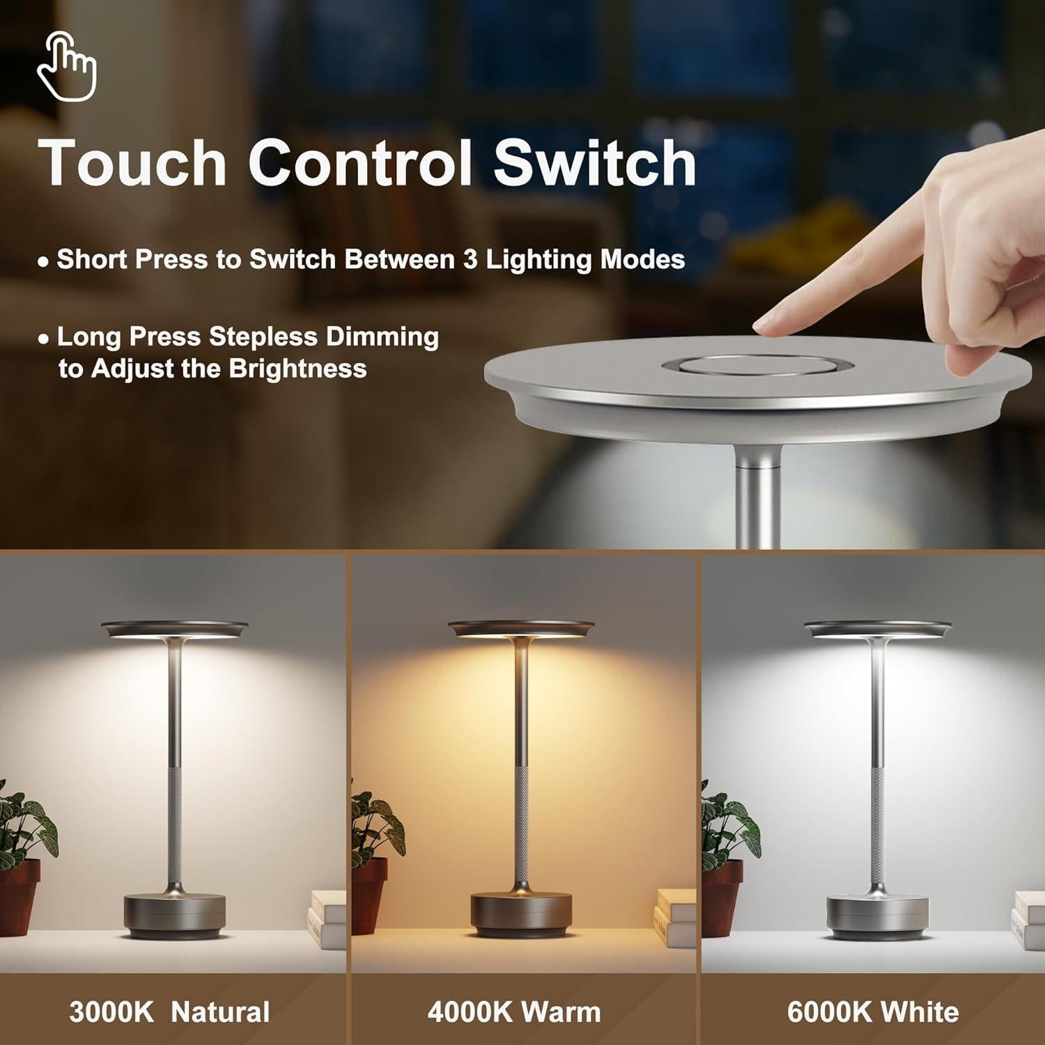 Lámpara de Mesa Inalámbrica FDIDC T106A Plata 5000mAh LED