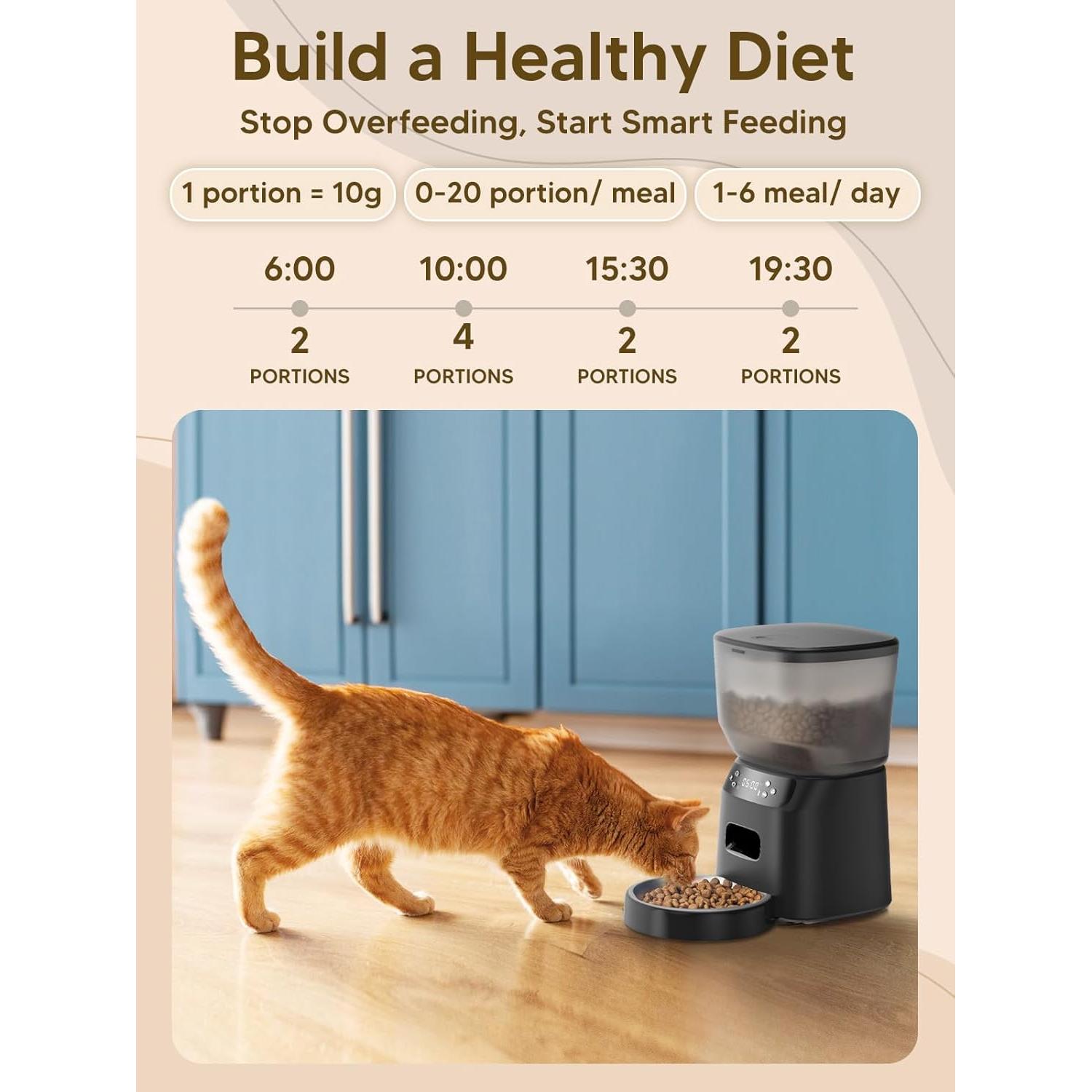 Dispensador Automático de Comida y Fuente de Agua CORGOTE 4L