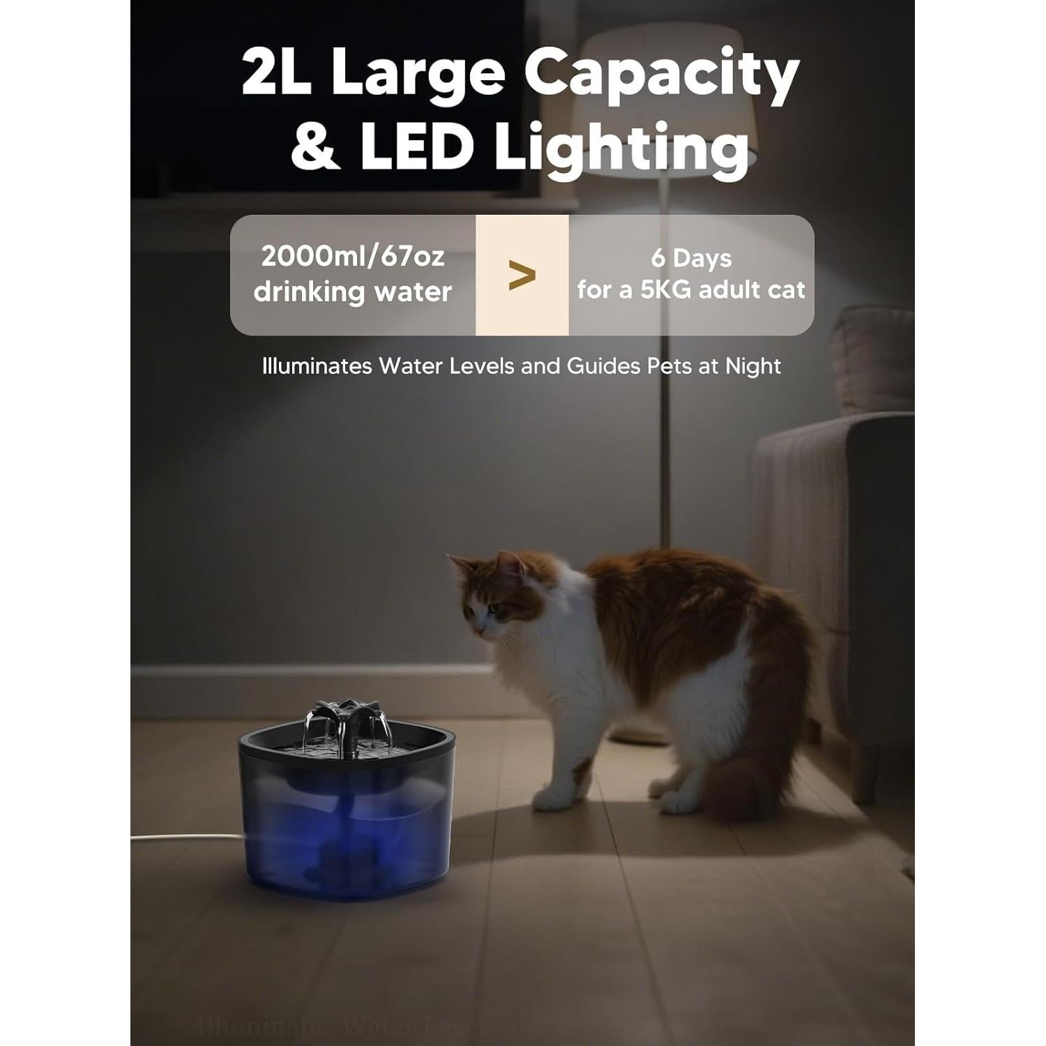 Dispensador Automático de Comida y Fuente de Agua CORGOTE 4L