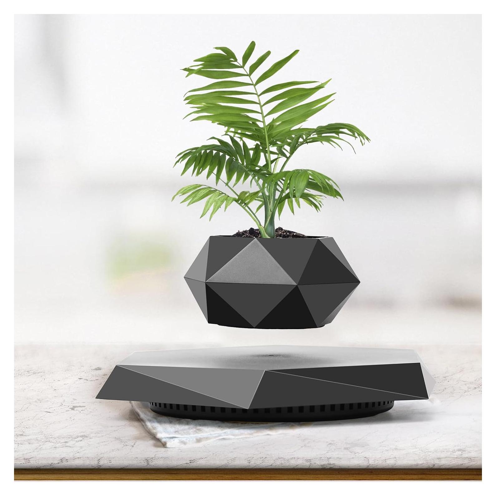 Maceta Flotante Leekimid Negra para Suculentas - Diseño Moderno