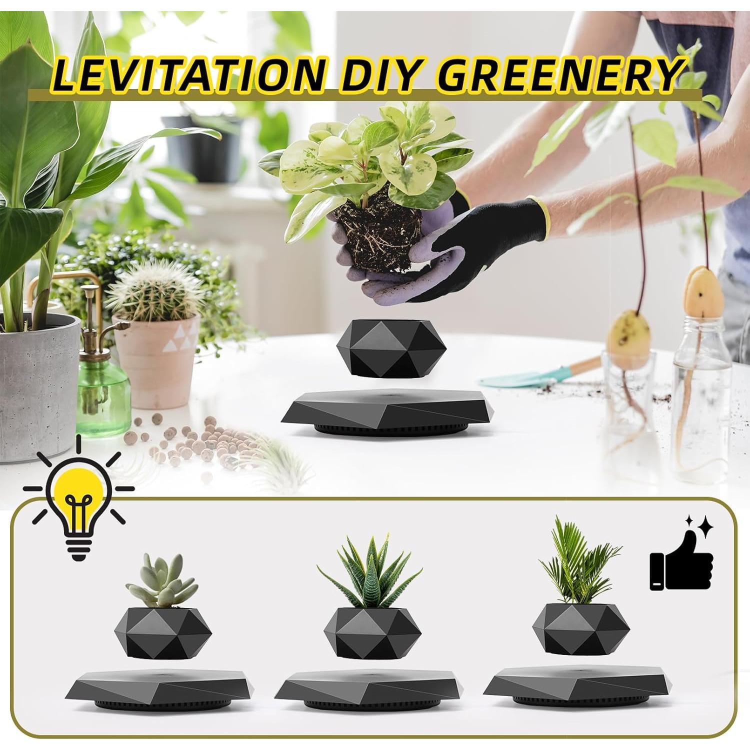 Maceta Flotante Leekimid Negra para Suculentas - Diseño Moderno