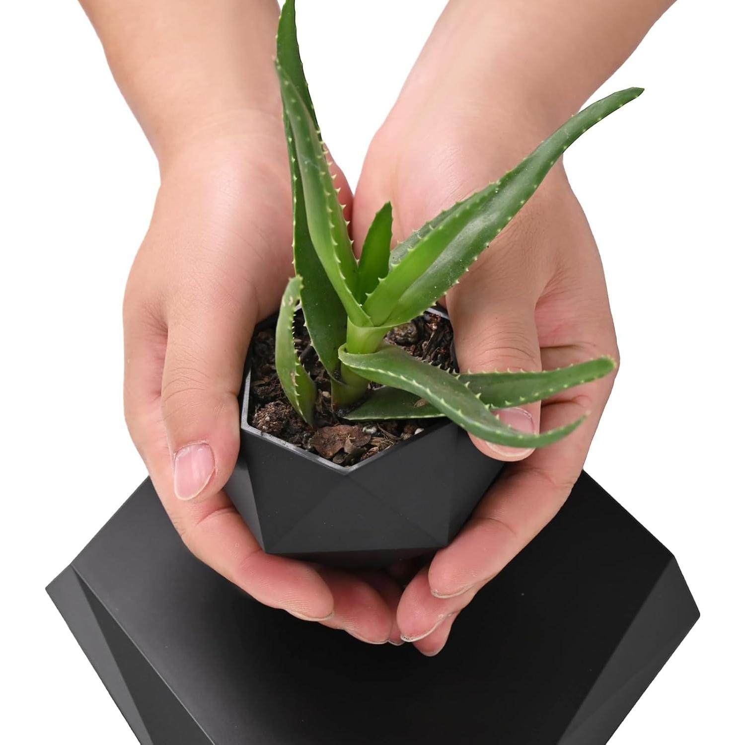 Maceta Flotante Leekimid Negra para Suculentas - Diseño Moderno