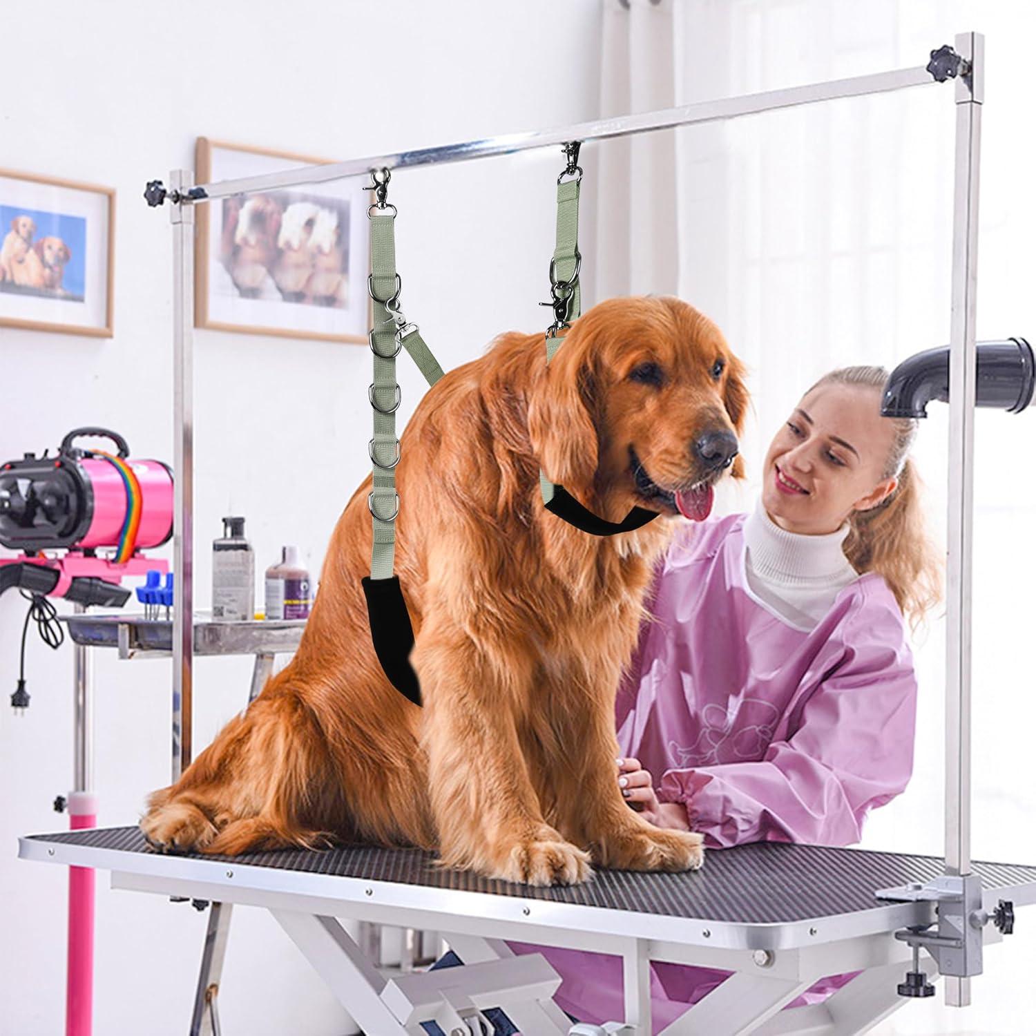 Correa de Barriga Ajustable Uni PNR para Acicalamiento de Perros