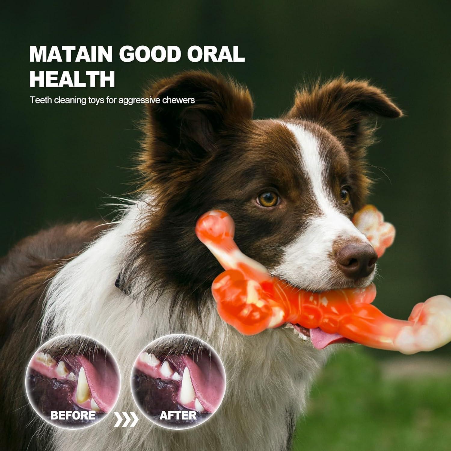 Juguete Indestructible para Perros Grandes BoYoYo 17cm Nylon