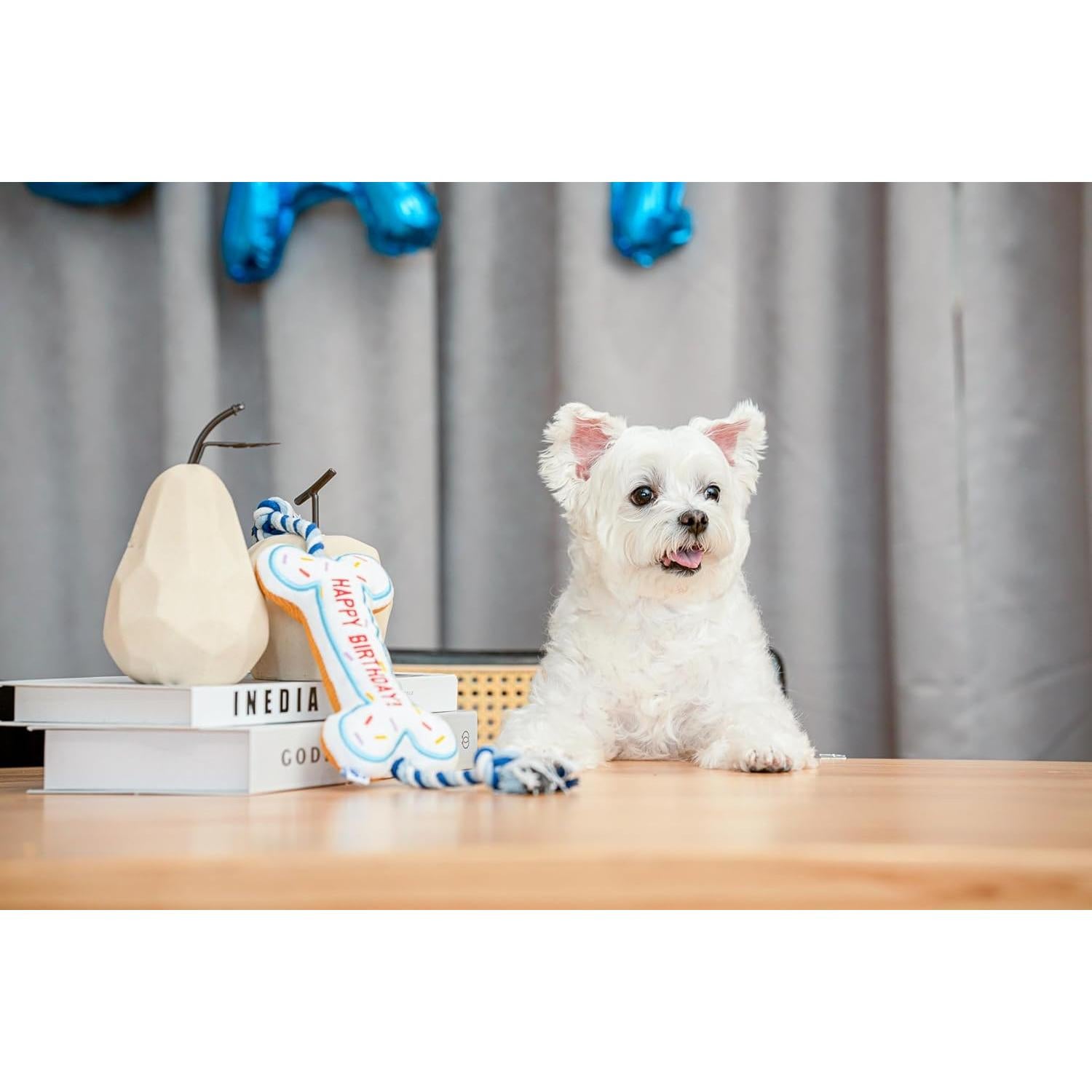 Hueso de Cumpleaños para Perros Pawty - Juguete Interactivo Rosa