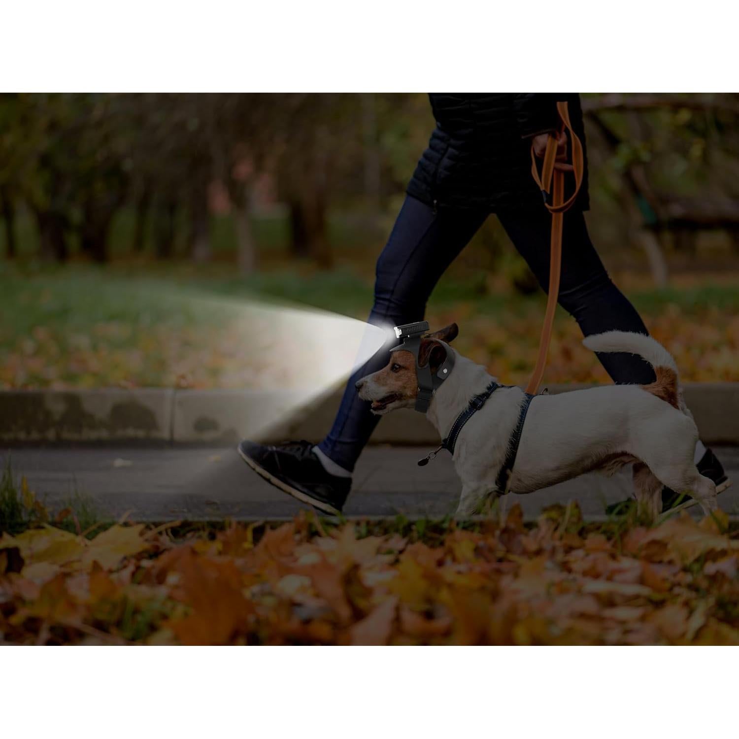 Luz de Cabeza para Perro Wercokt, Recargable, Impermeable, 3 Modos