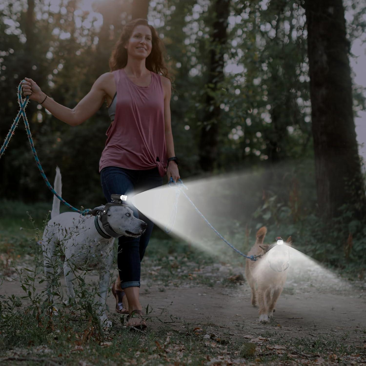 Luz de Cabeza para Perro Wercokt, Recargable, Impermeable, 3 Modos