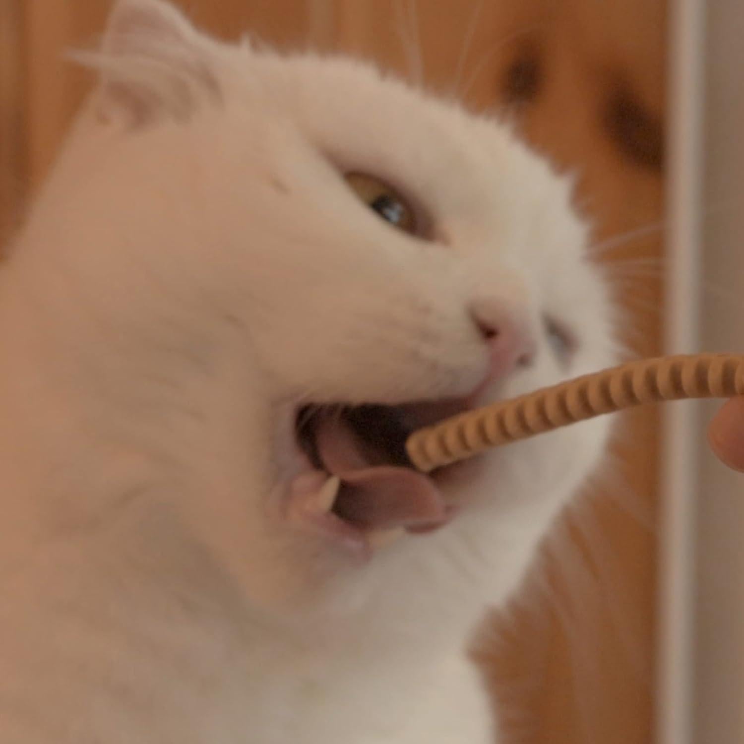 Golosinas Dentales para Gatos Dr.Petra CATZZLE 142g Salmón