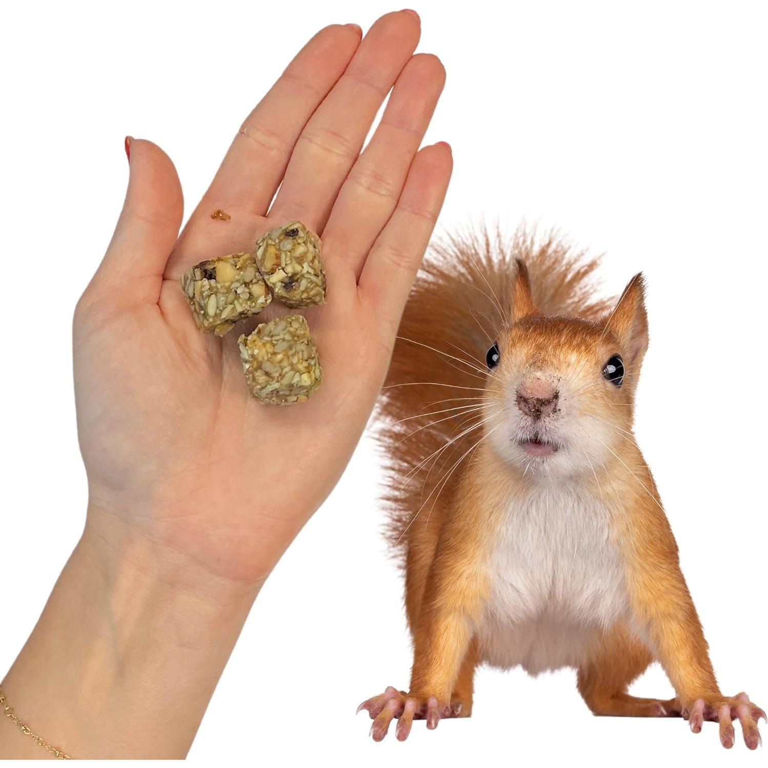 Bloques Nutricionales para Ardillas Exotic Nutrition 283.5 g