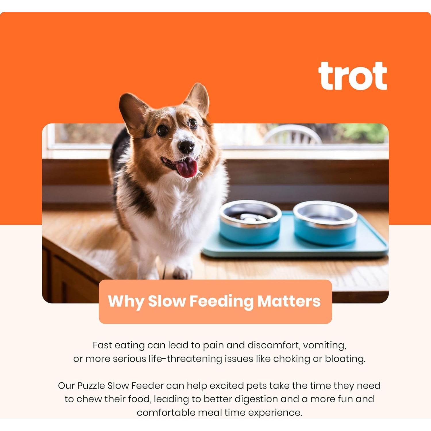 Tazones Antideslizantes Trot Pets - Acero Inoxidable Pequeño