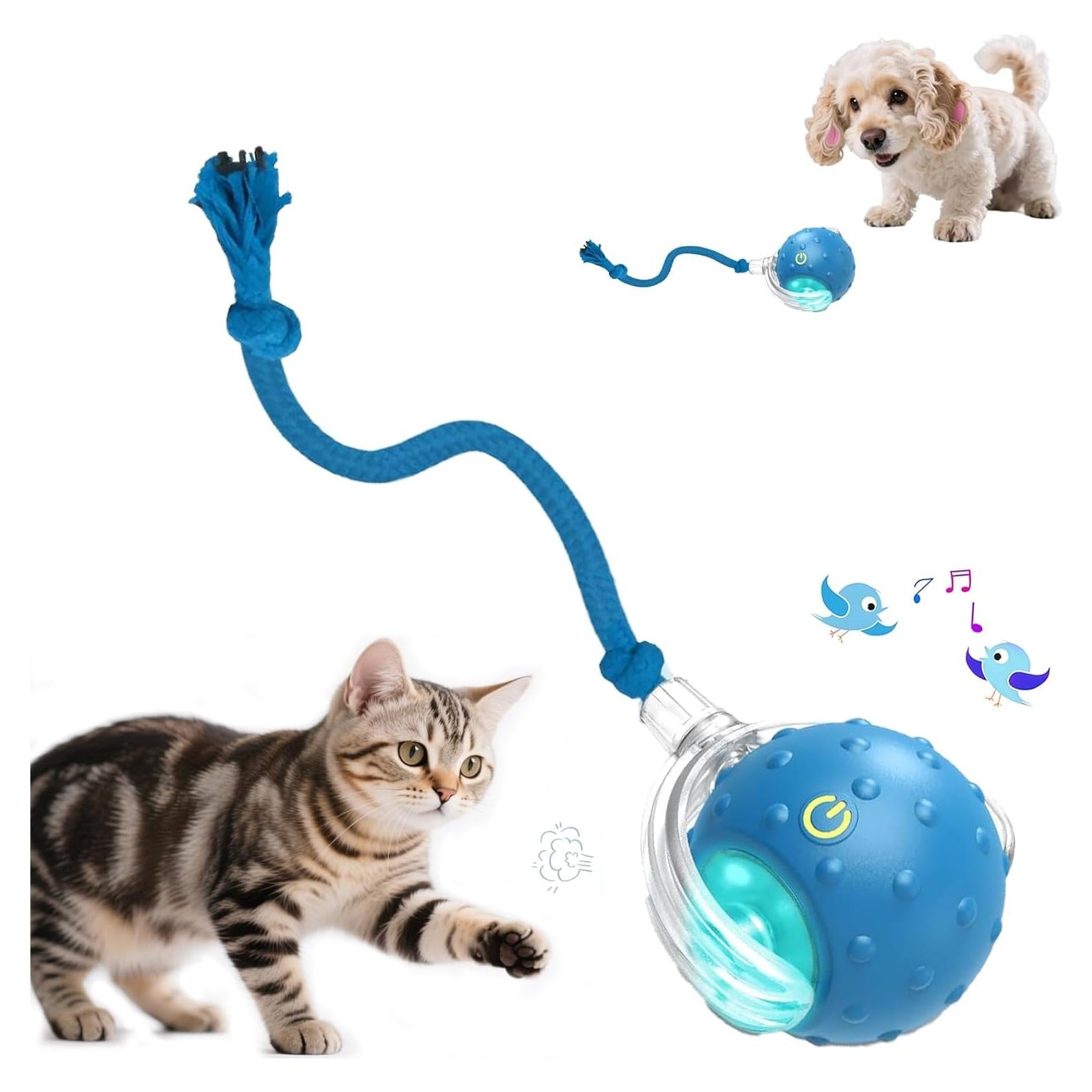 Juguete Interactivo para Gatos Petayouj Bola Teaser 2025